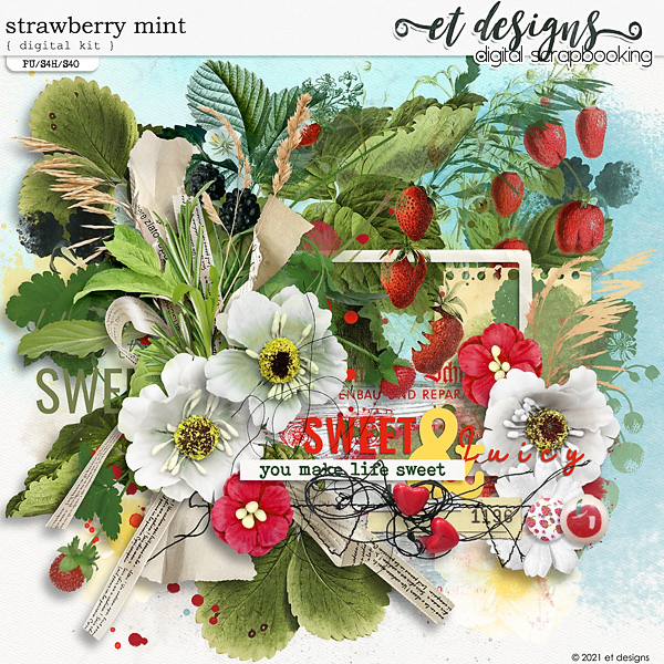 Strawberry Mint Kit by et designs