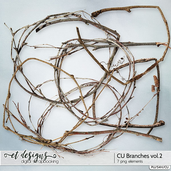 CU Branches vol.2