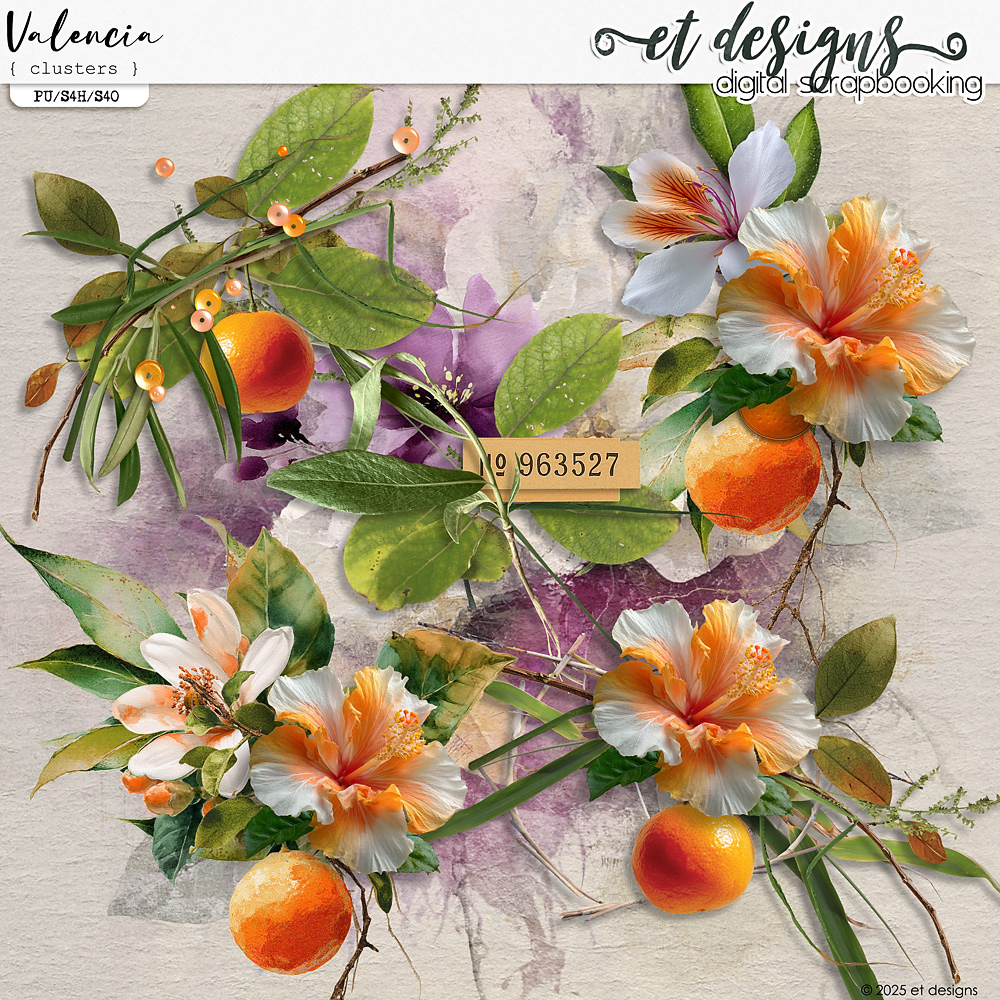 Valencia Clusters by et designs