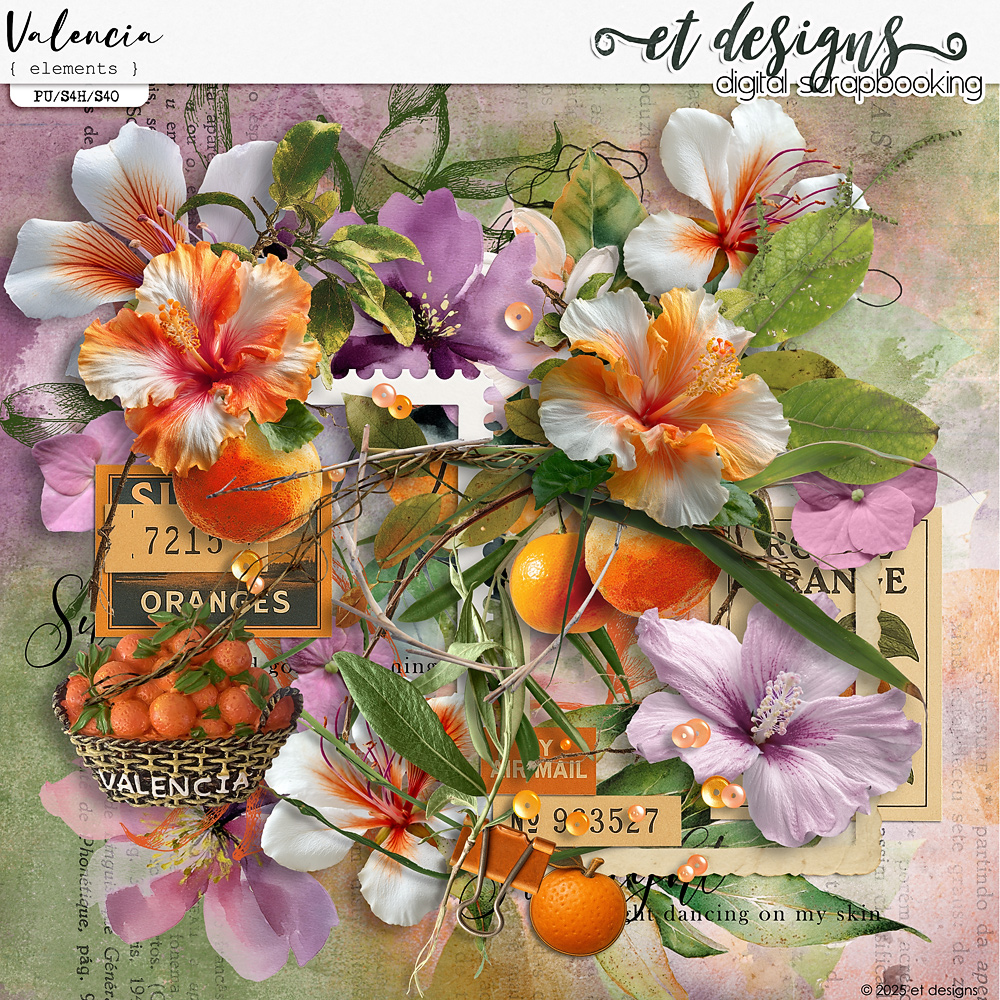 Valencia Elements by et designs