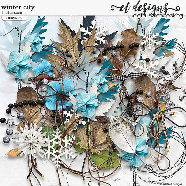Winter City Clusters