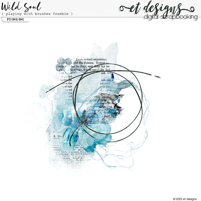 Wild Soul Playing with Brushes by et designs GIFT