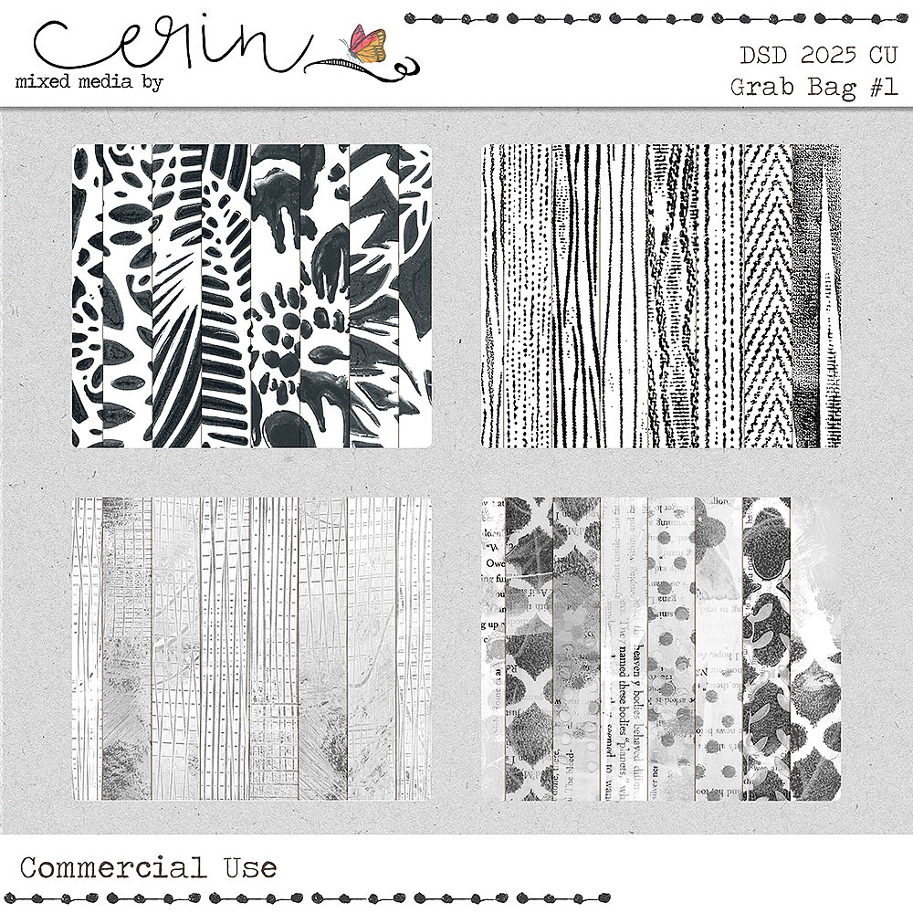 DSD 2025 Grab Bag #1 (CU) by Mixed Media by Erin