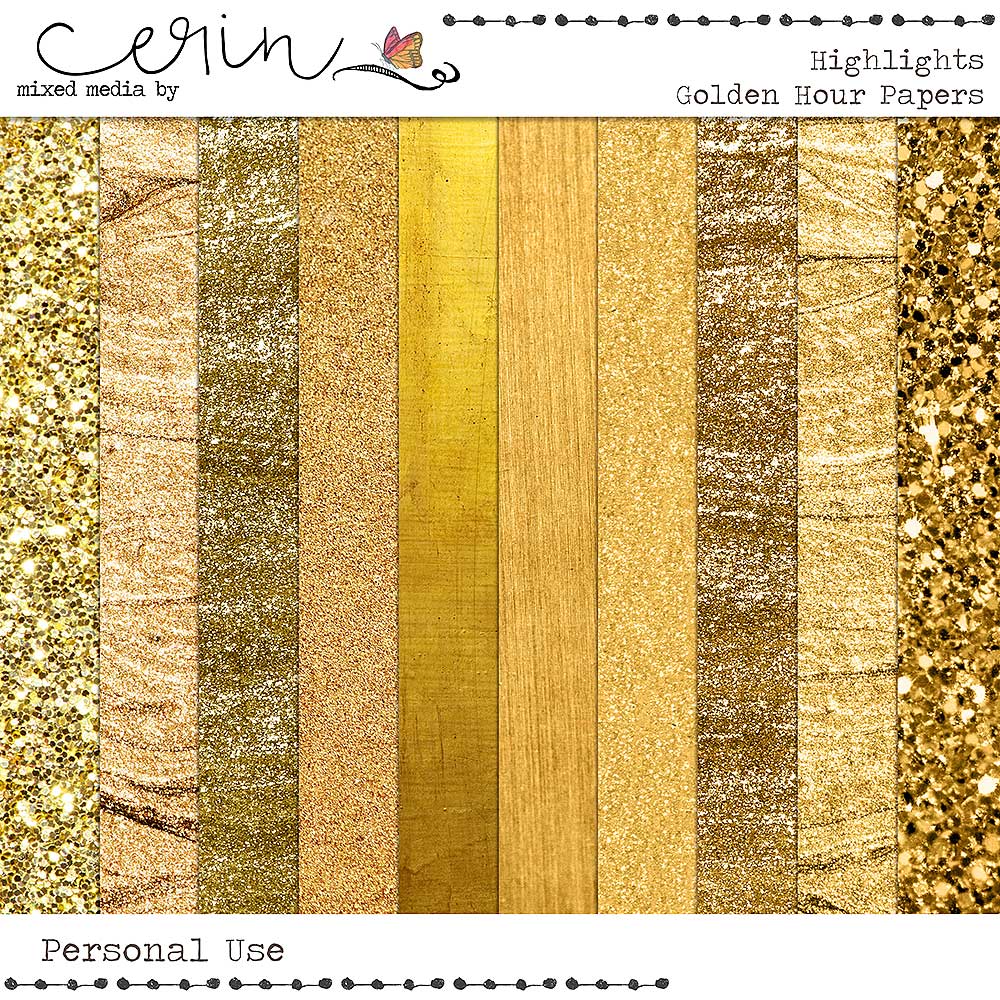 Highlights {Golden Hour} by Mixed Media by Erin