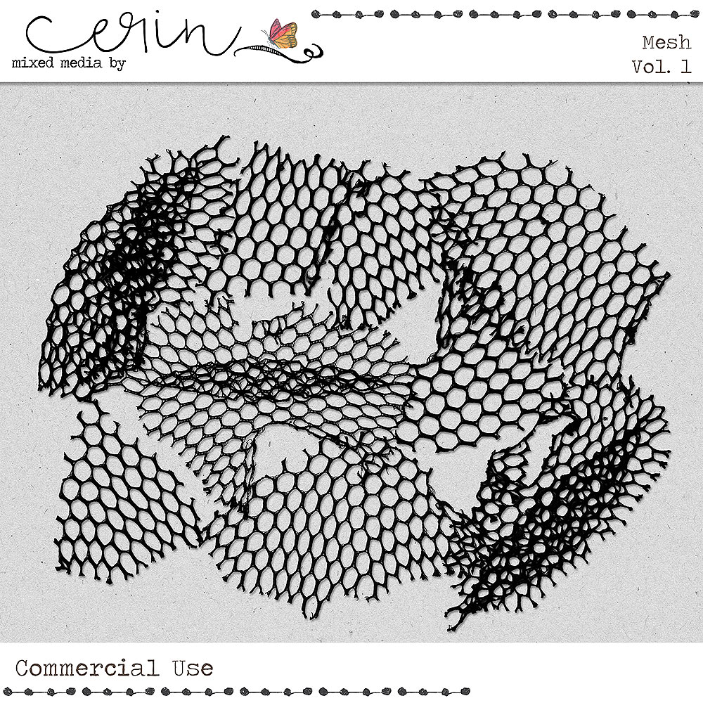 Mesh Vol 1 (CU) by Mixed Media by Erin