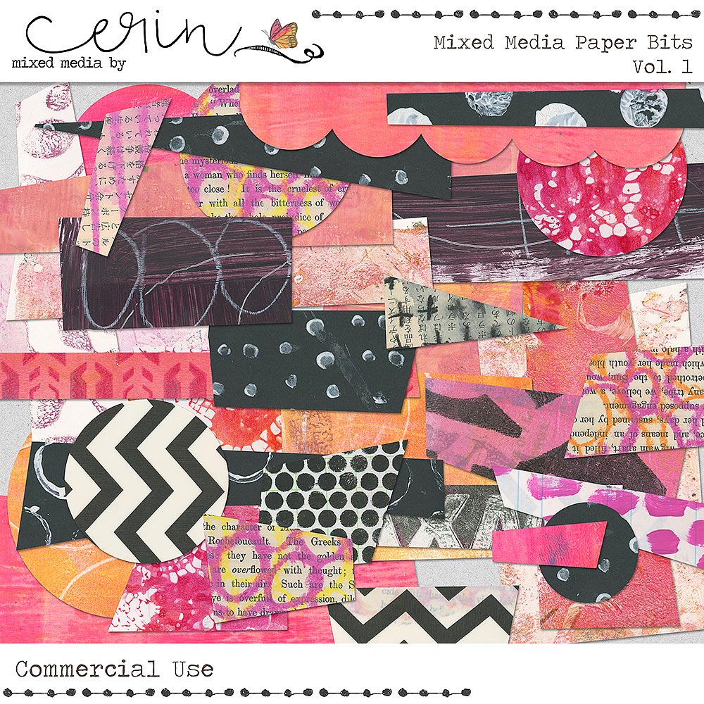 Mixed Media Paper Bits Vol 1 by Mixed Media by Erin