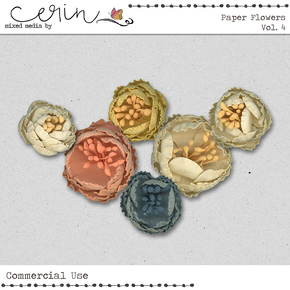 Paper Flowers Vol 4 (CU) by Mixed Media by Erin