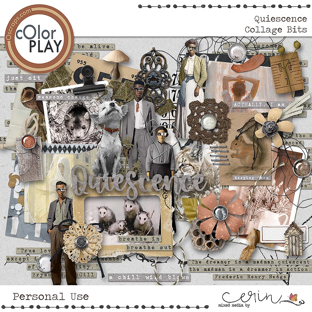 Quiescence {Collage Bits} by Mixed Media by Erin