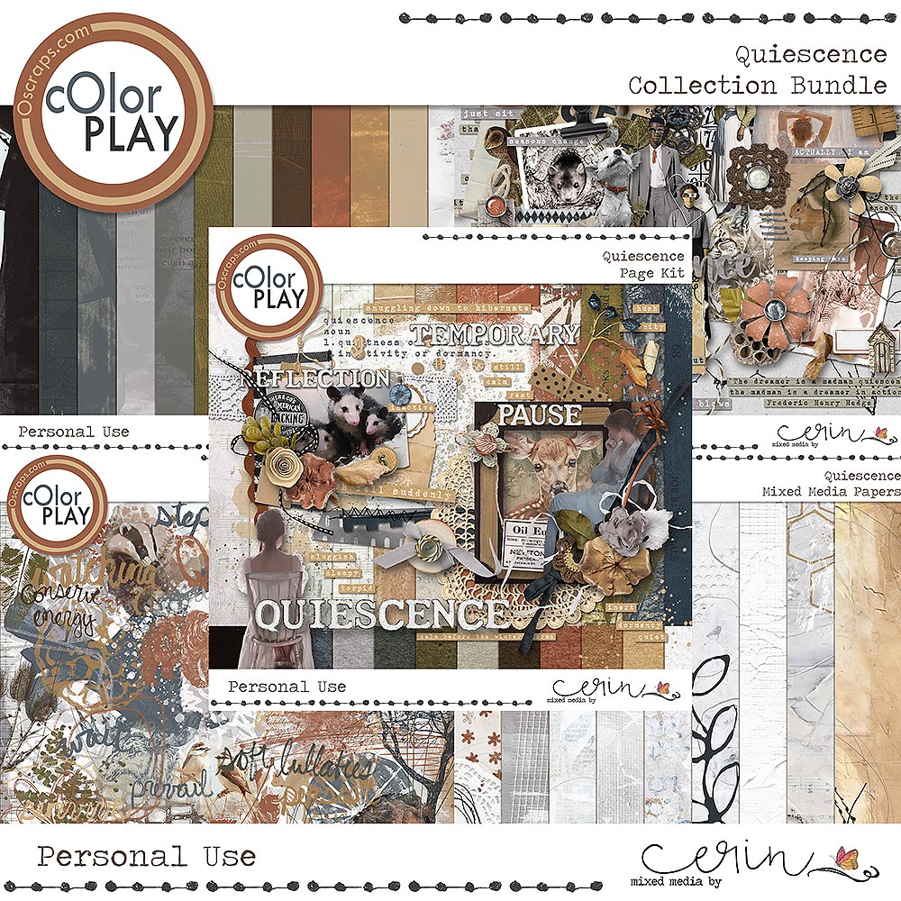 Quiescence {Collection Bundle} by Mixed Media by Erin