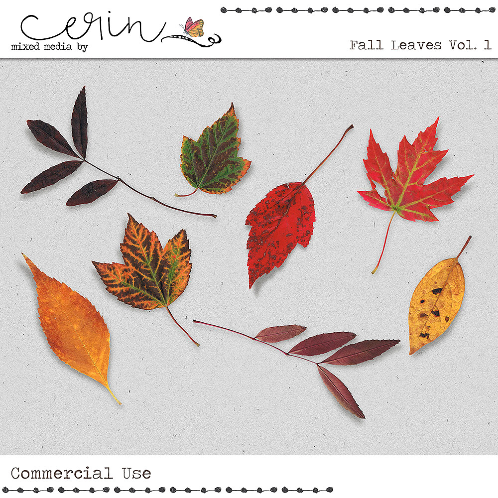 Fall Leaves Vol 1 (CU) by Mixed Media by Erin