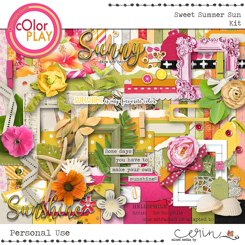 Sweet Summer Sun Kit by Mixed Media by Erin