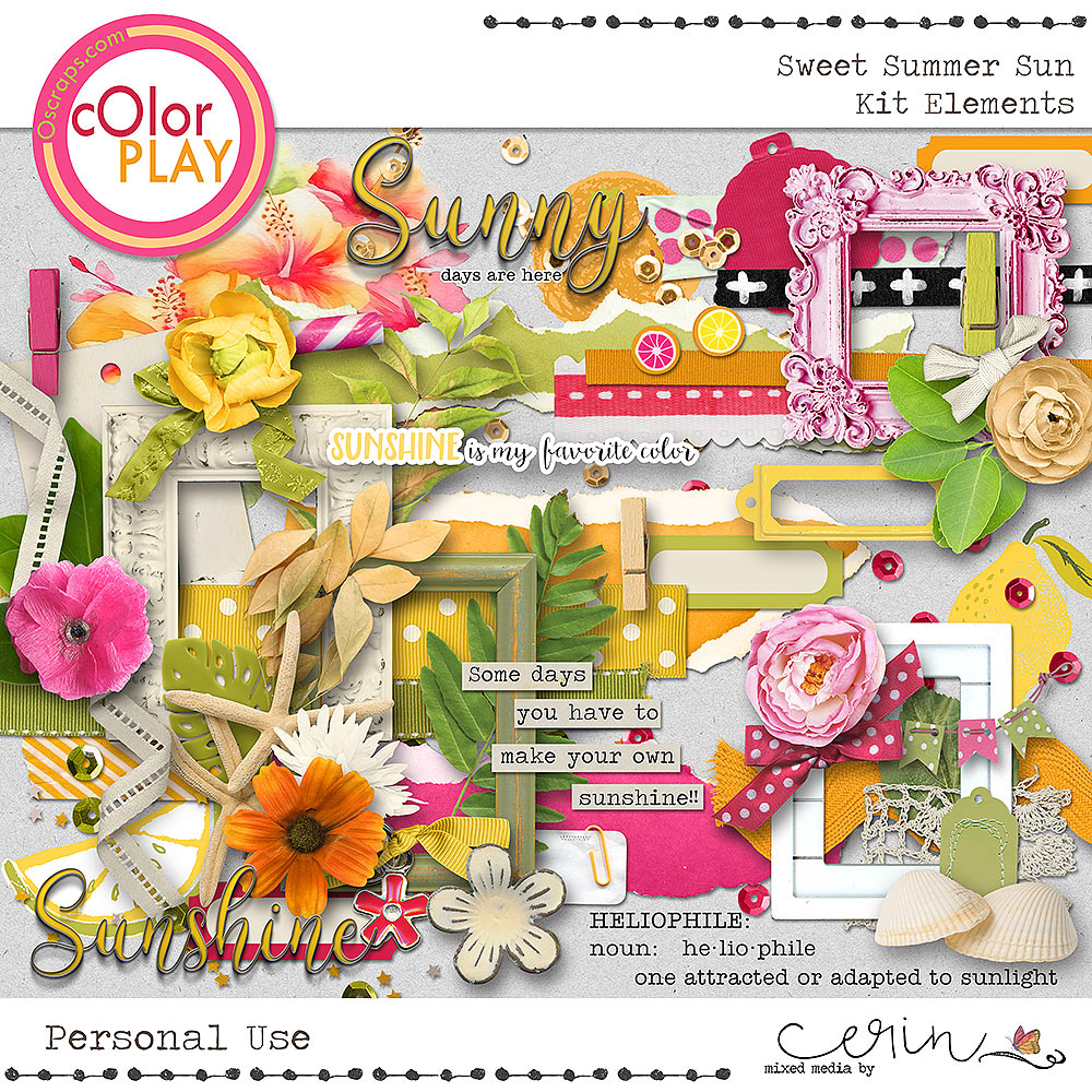 Sweet Summer Sun Elements by Mixed Media by Erin