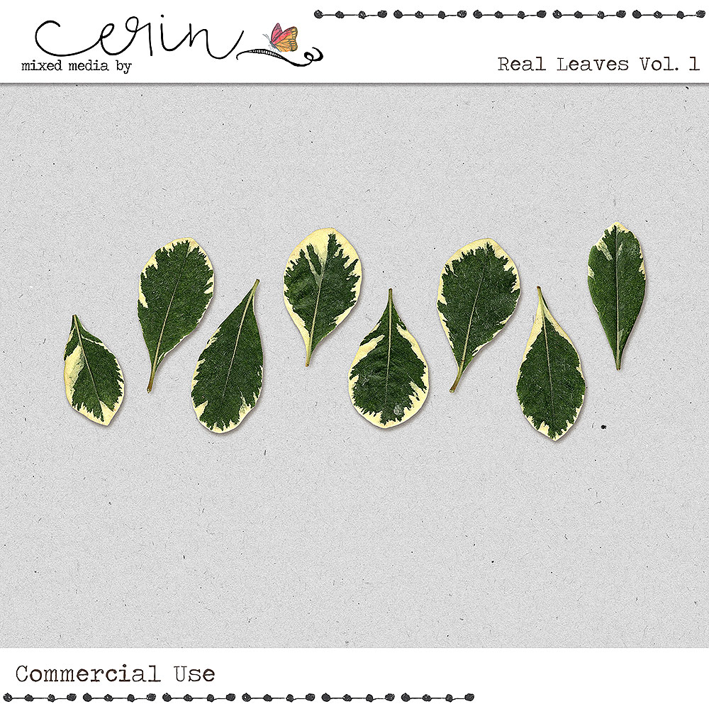 Real Leaves Vol 1 (CU) by Mixed Media by Erin
