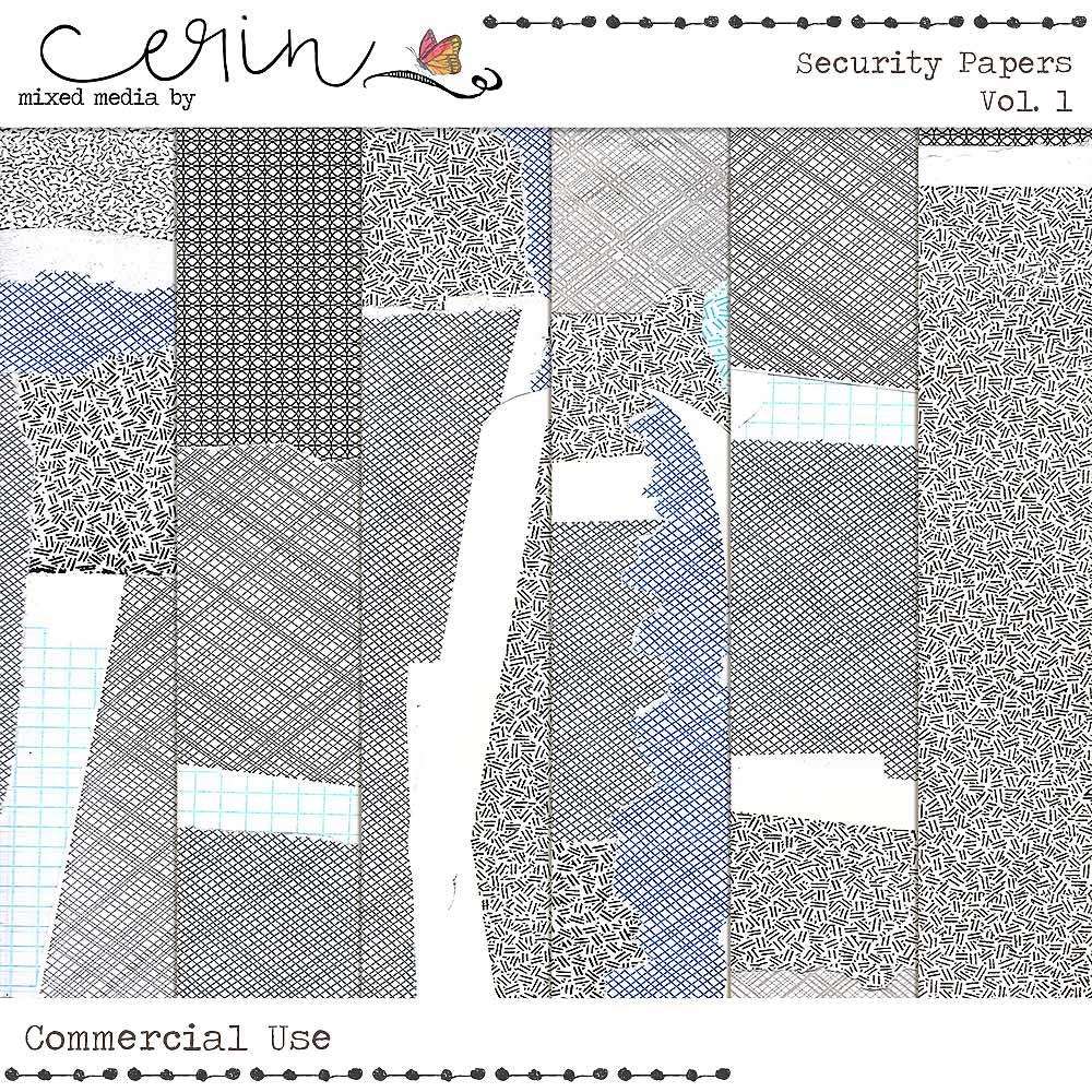 Security Paper Vol 1 (CU) by Mixed Media by Erin