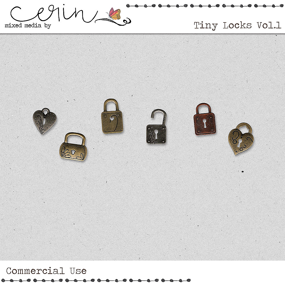 Tiny Locks Vol 1 (CU) by Mixed Media by Erin