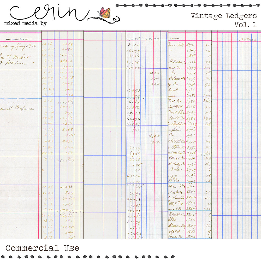 Vintage Ledger Vol 1 (CU) by Mixed Media by Erin 