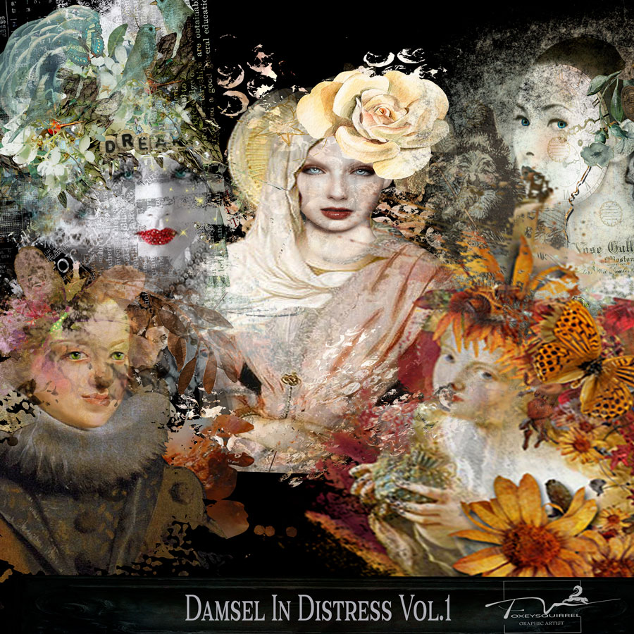Damsel In Distress Vol 1