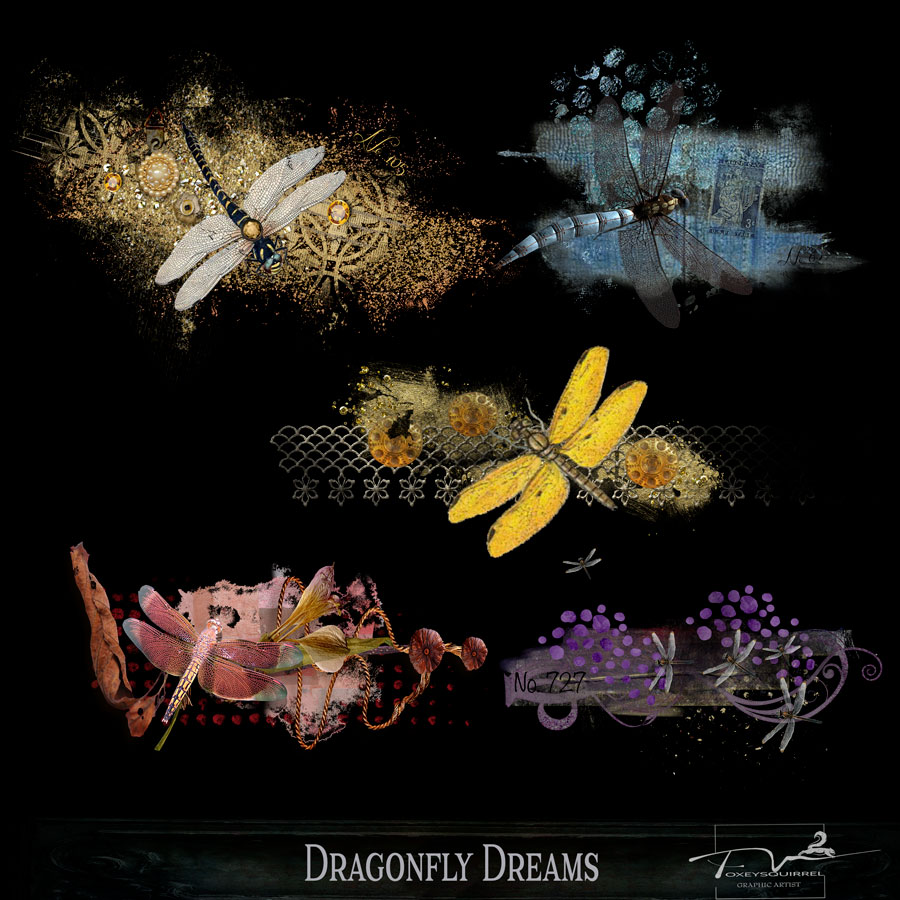 Dragonfly Dreams