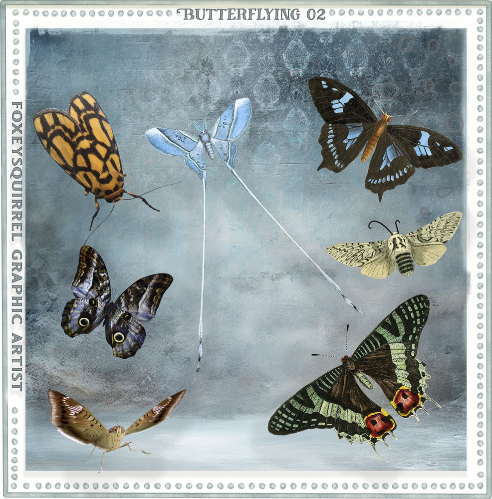 Butterflying 2 Digital Art Elements