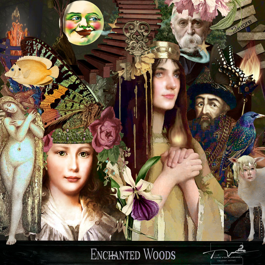 Enchanted Woods