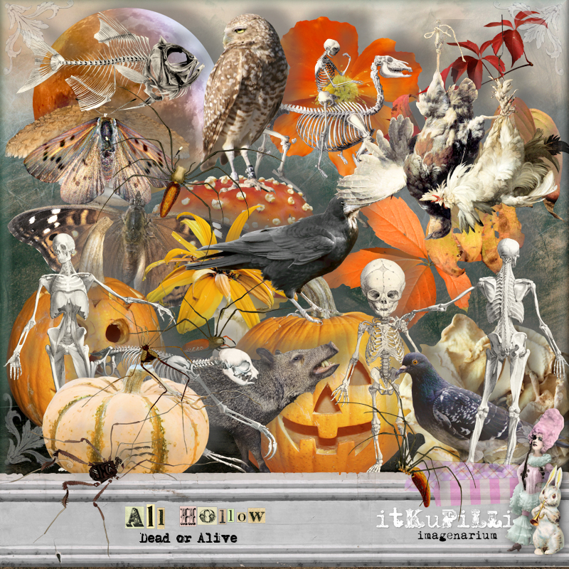 All Hollow Dead or Alive by itKuPiLLi imaginarium 