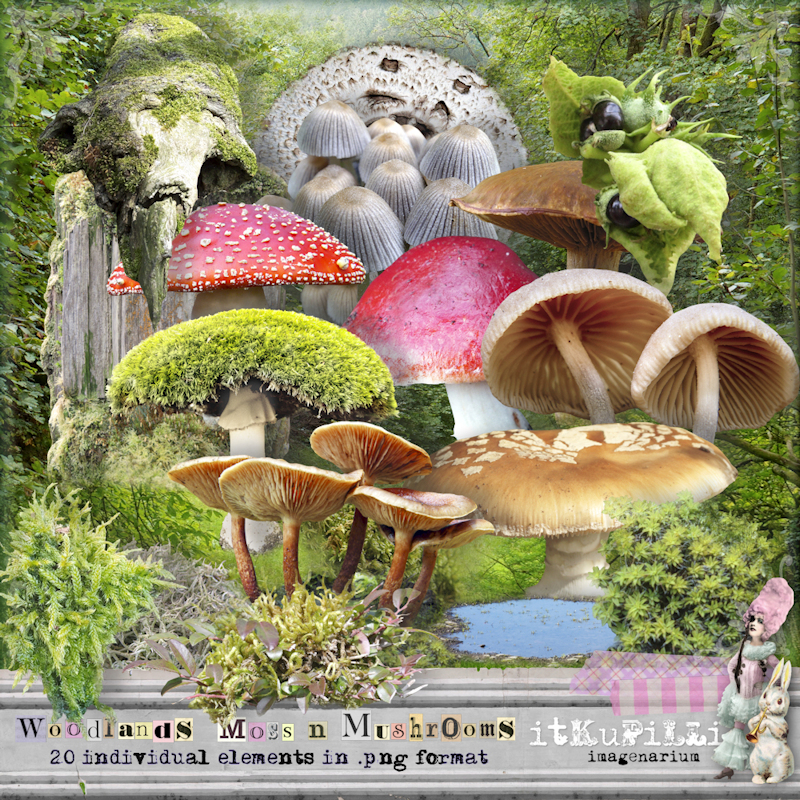 Woodlands Moss n Mushrooms by itKuPiLLi imagenarium