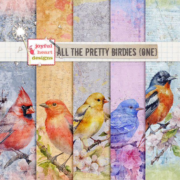All the Pretty Birdies (one)