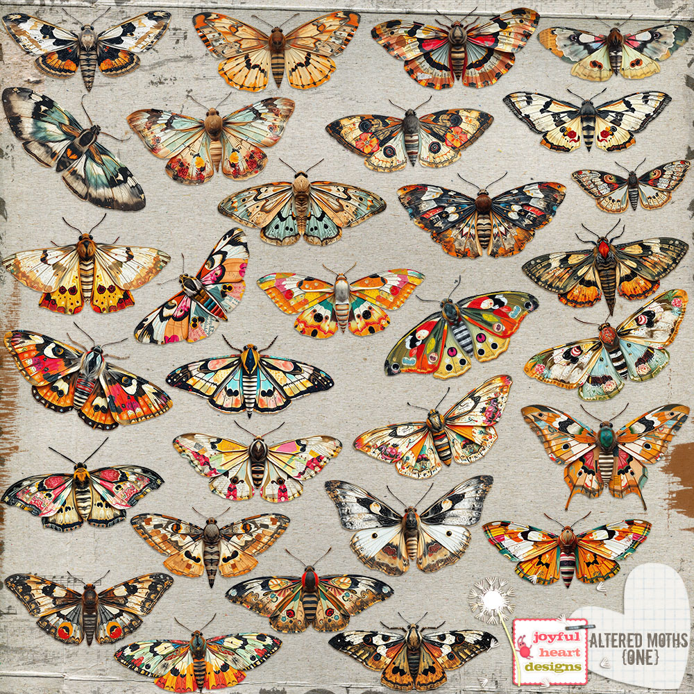 Altered Moths (one)
