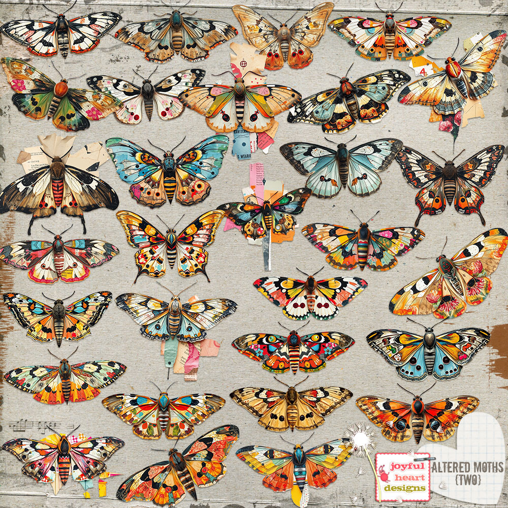 Altered Moths (two)