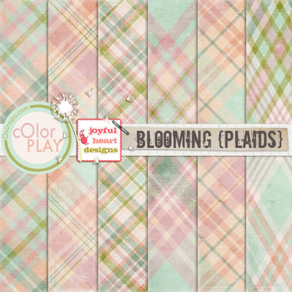 Blooming (plaids)