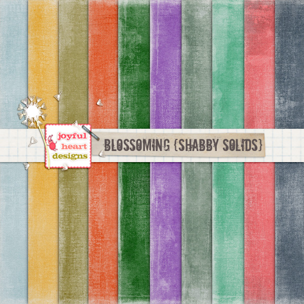 Blossoming (shabby solids)