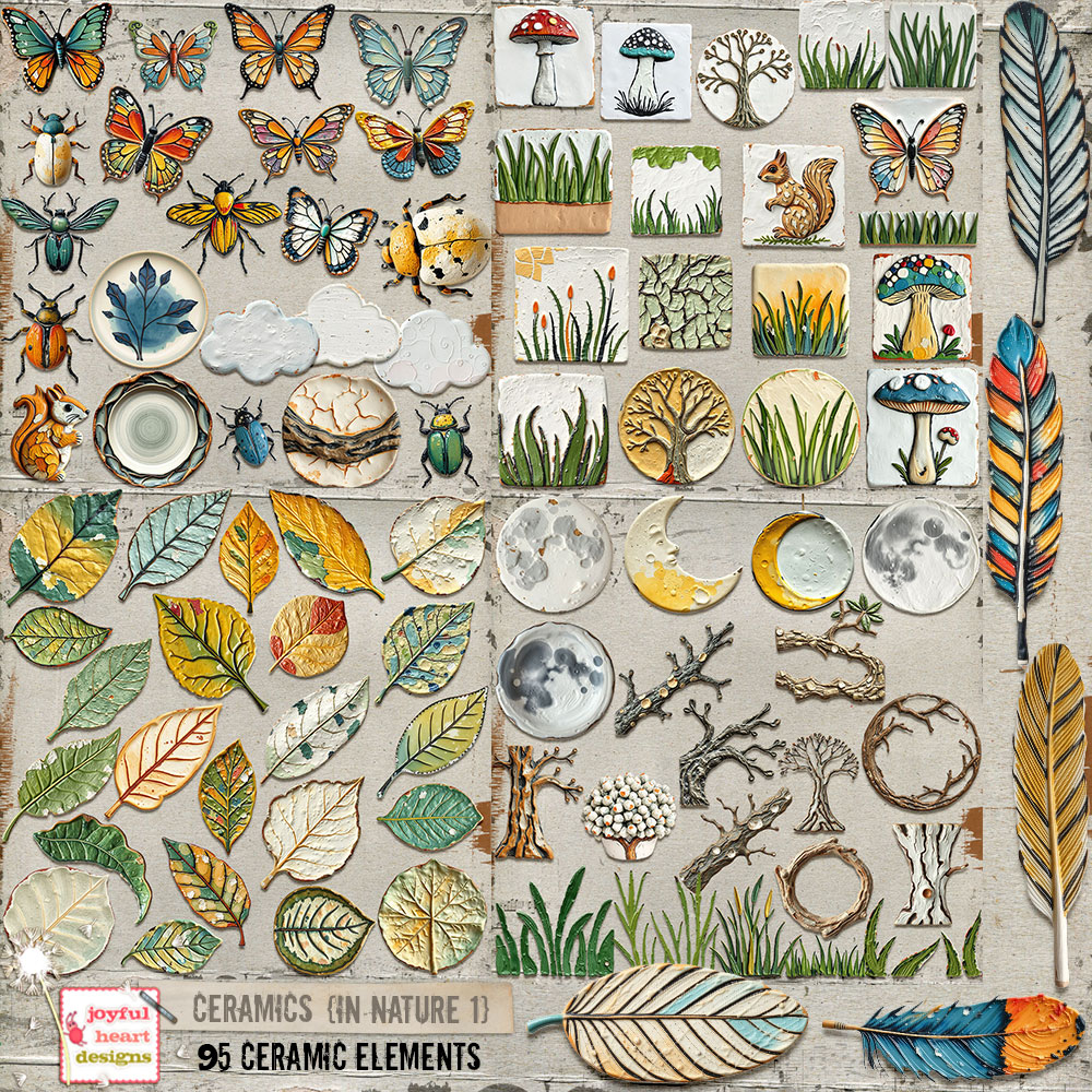 Ceramics (In Nature 1)