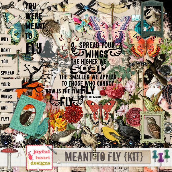Meant to Fly (kit)