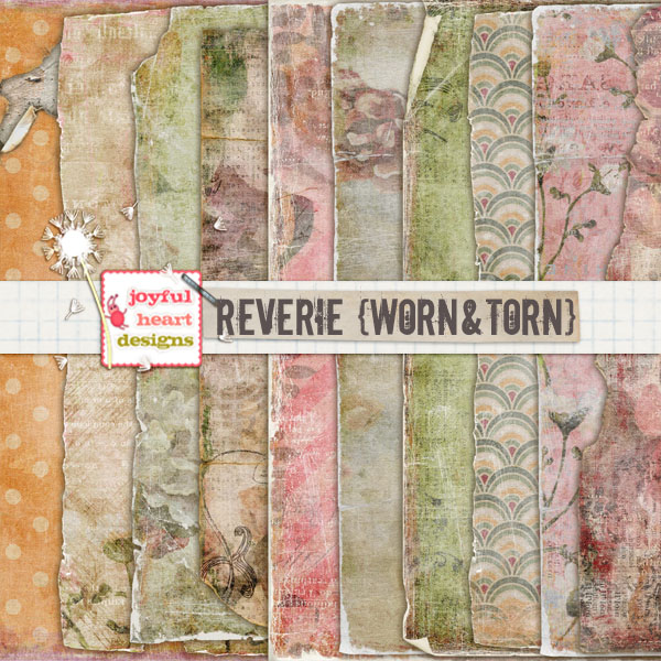 Reverie (worn & torn) 