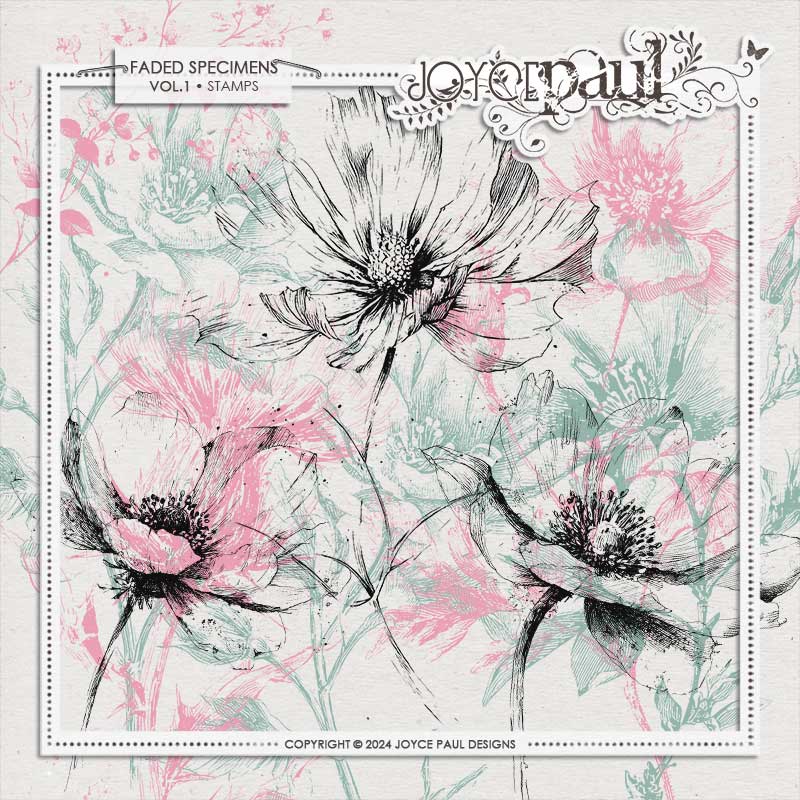 Faded Specimens 1 | Stamps by Joyce Paul Designs