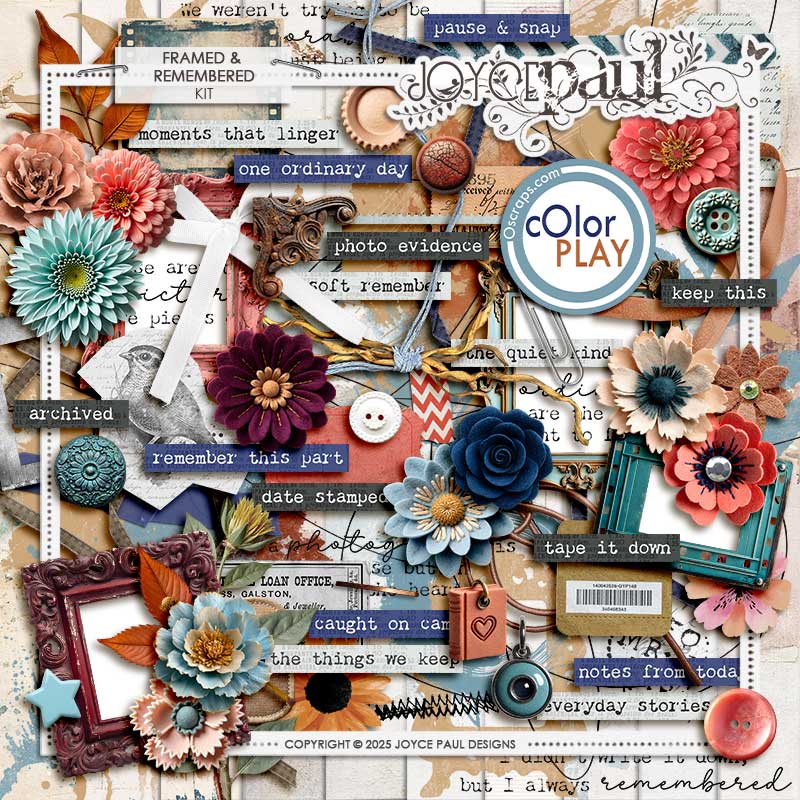 Framed & Remembered | Kit by Joyce Paul Designs