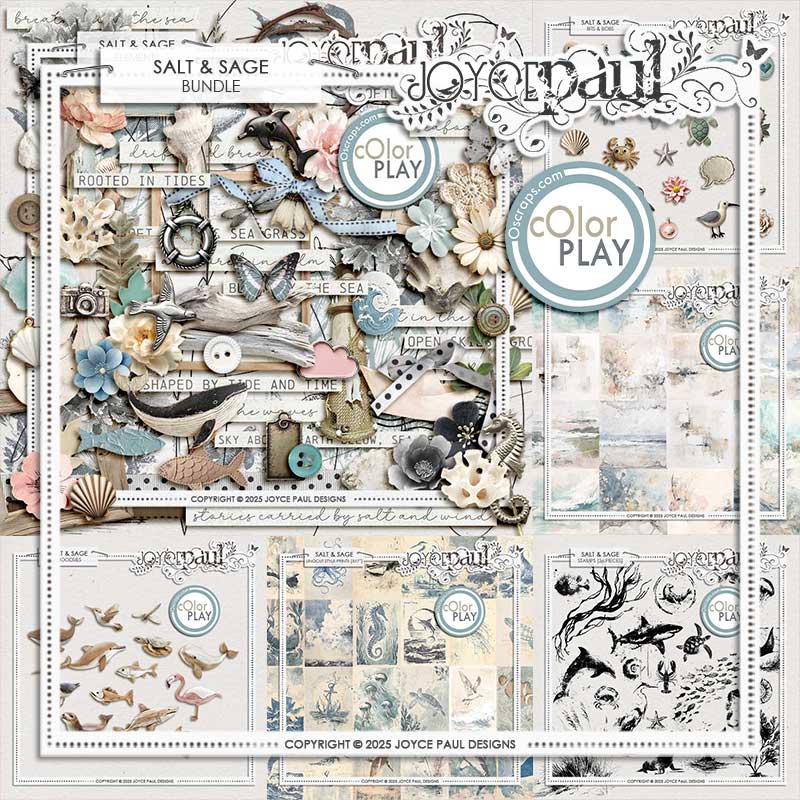 Salt & Sage | Bundle by Joyce Paul Designs