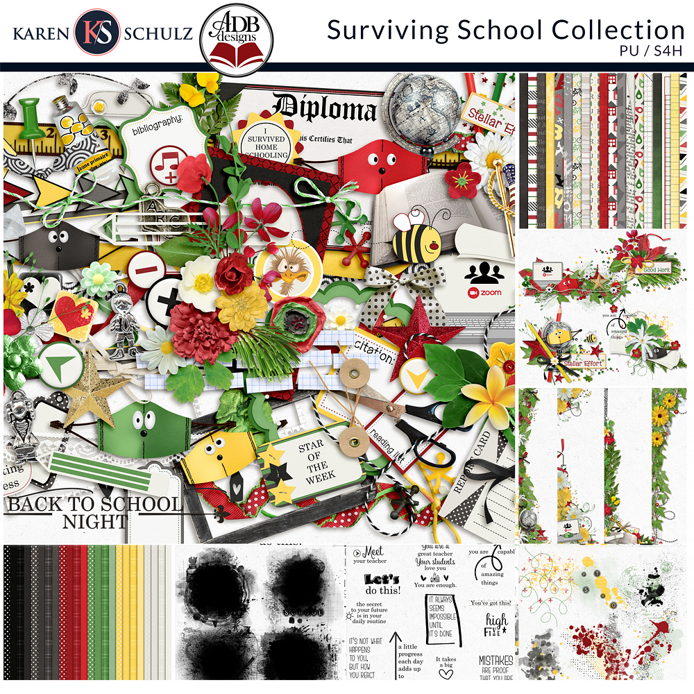 Surviving School Collection