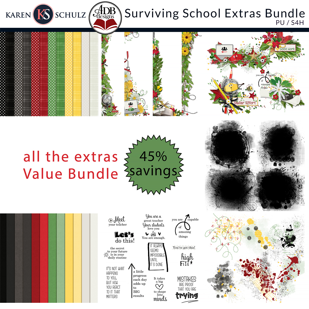 Surviving School Extras Bundle