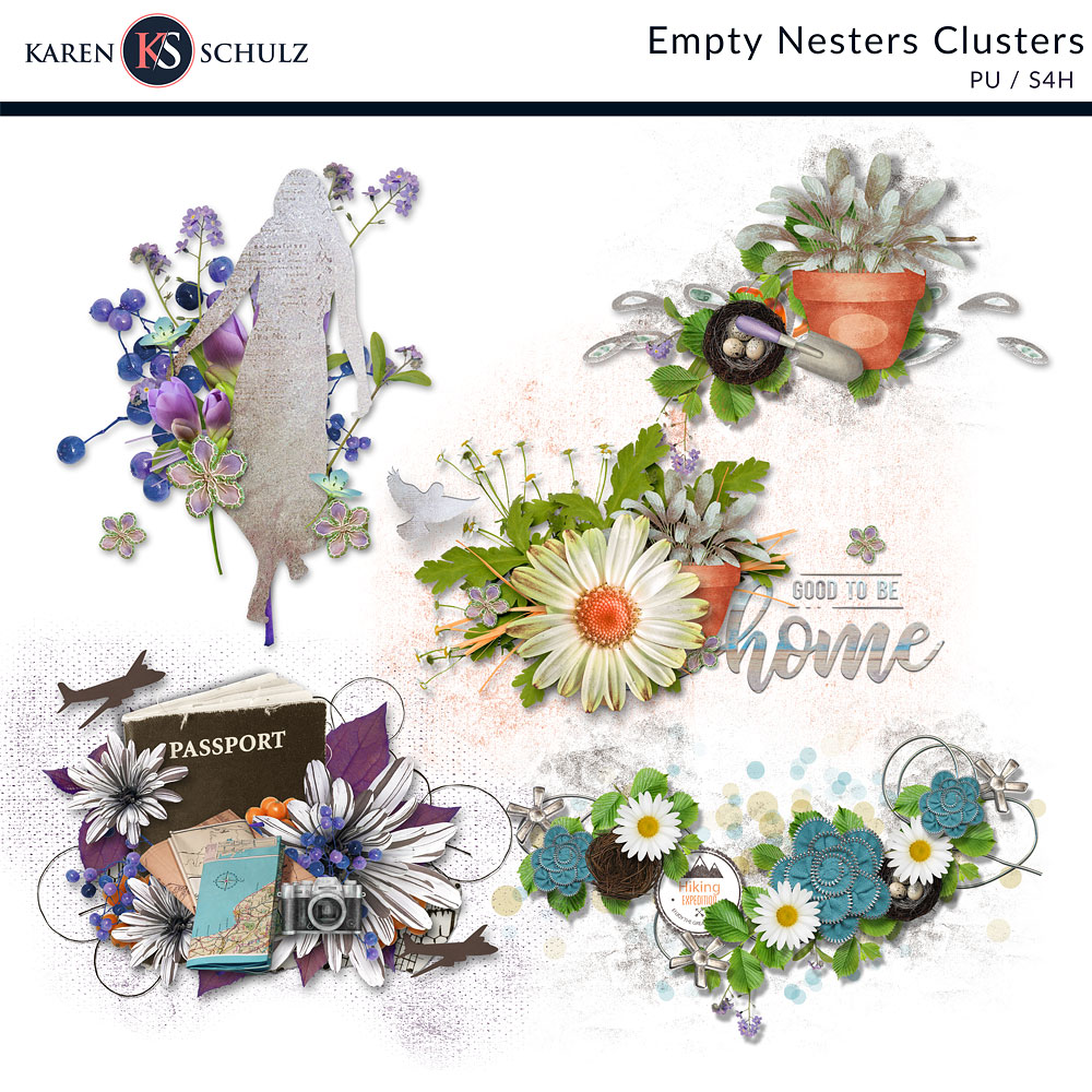Empty Nesters Clusters
