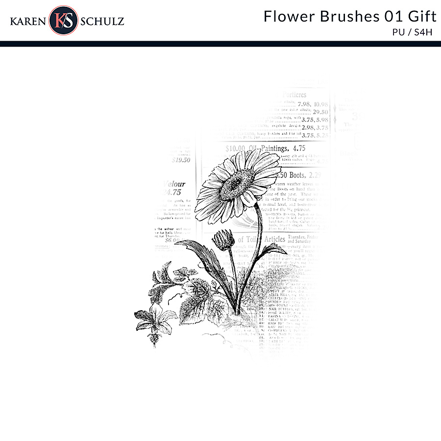 Flower Brushes 01 Gift