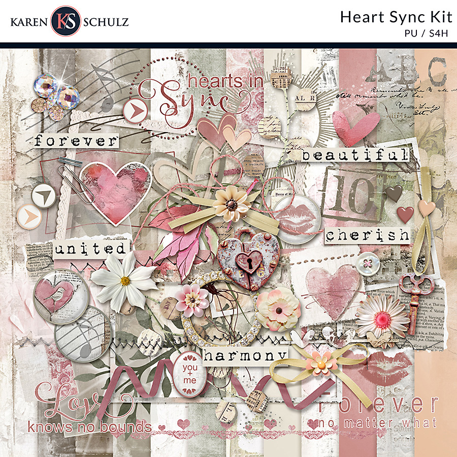 Heart Sync Kit 