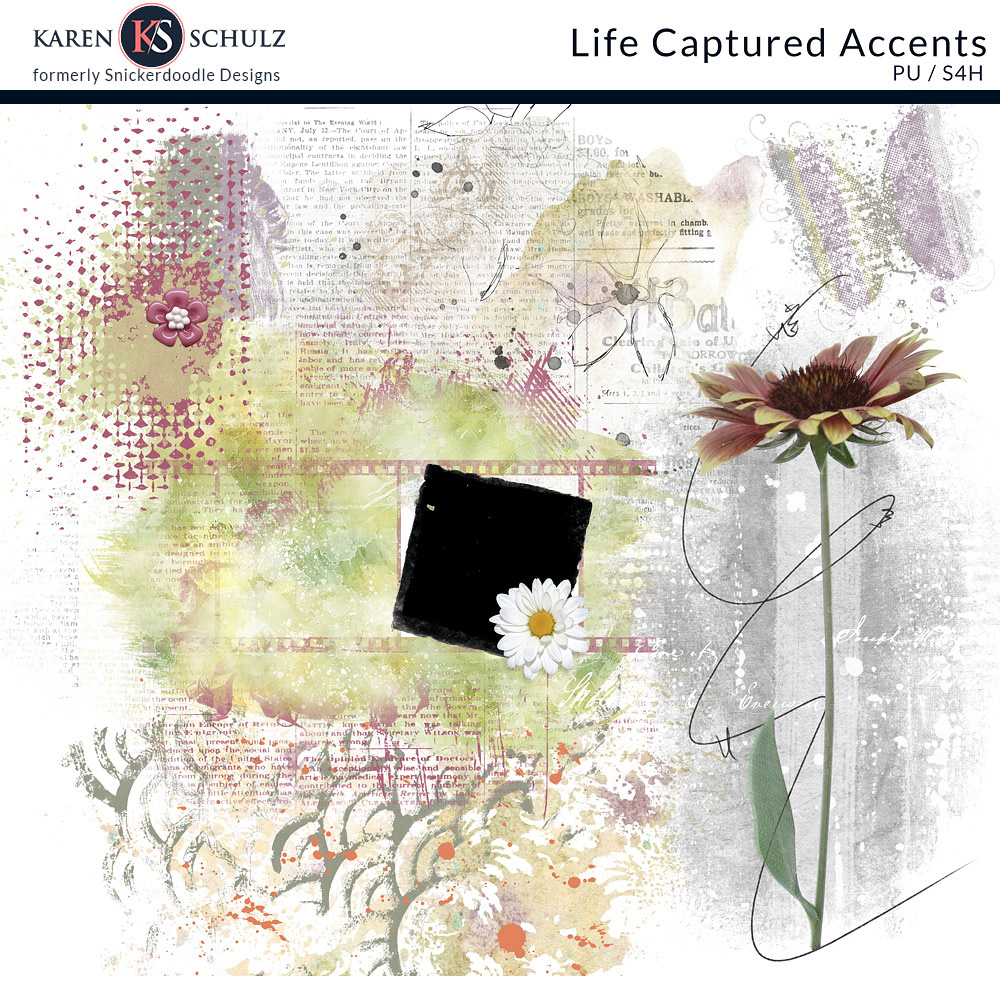 Life Captured Accents 
