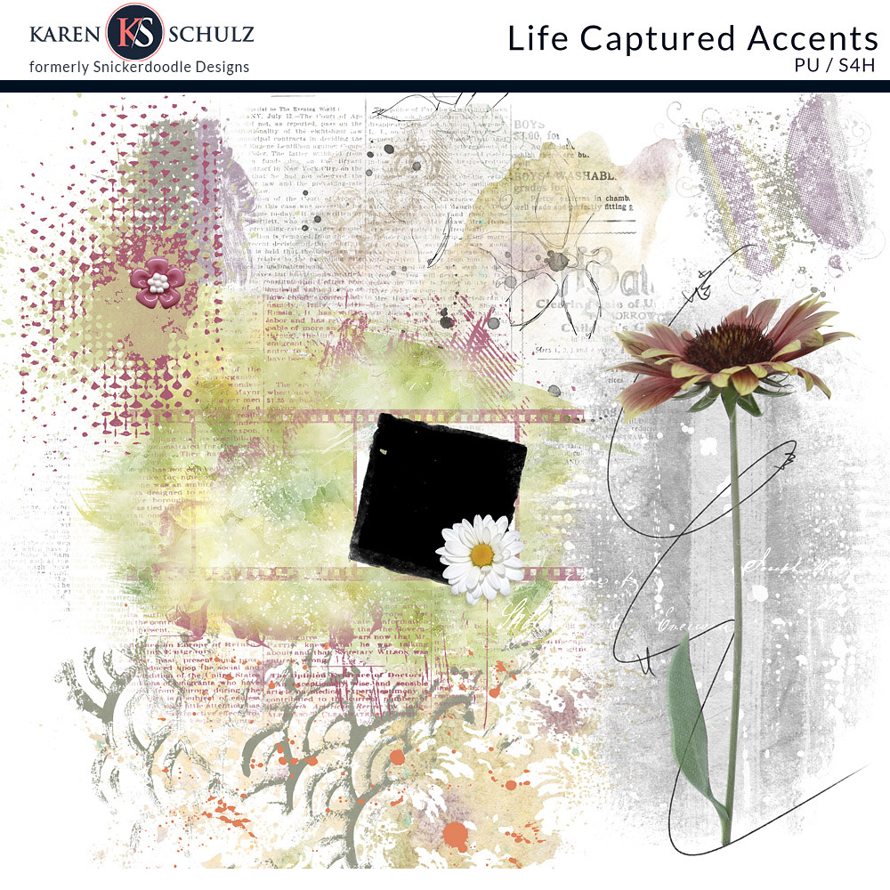Life Captured Accents Life Captured Accents