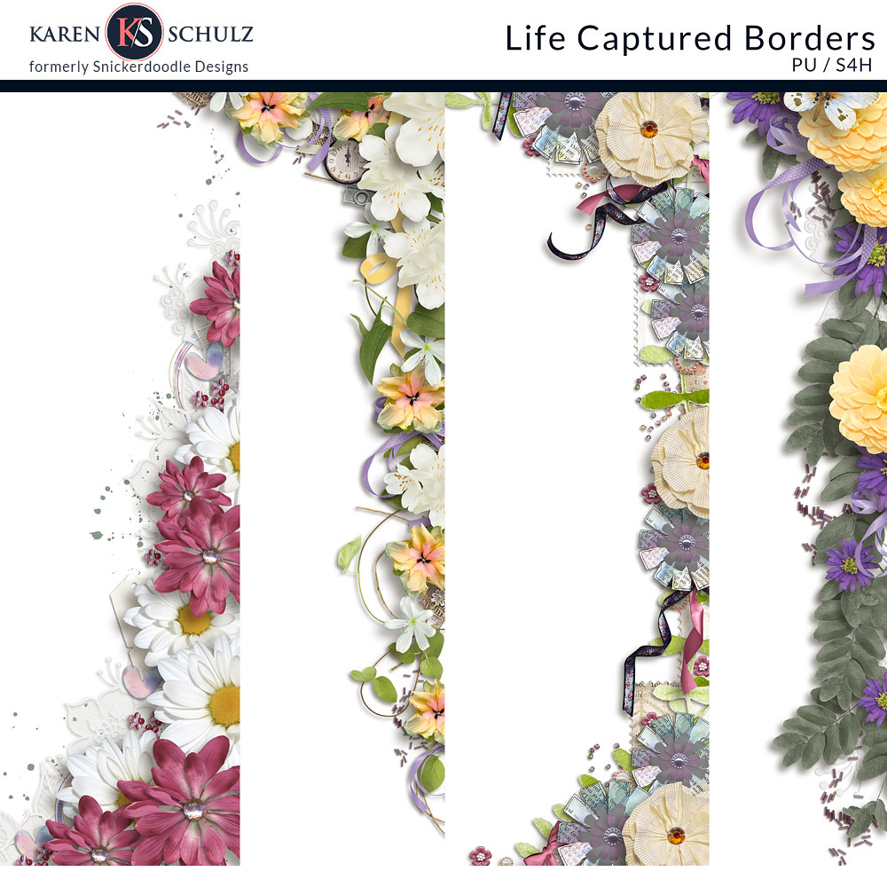 Life Captured Borders Life Captured Borders