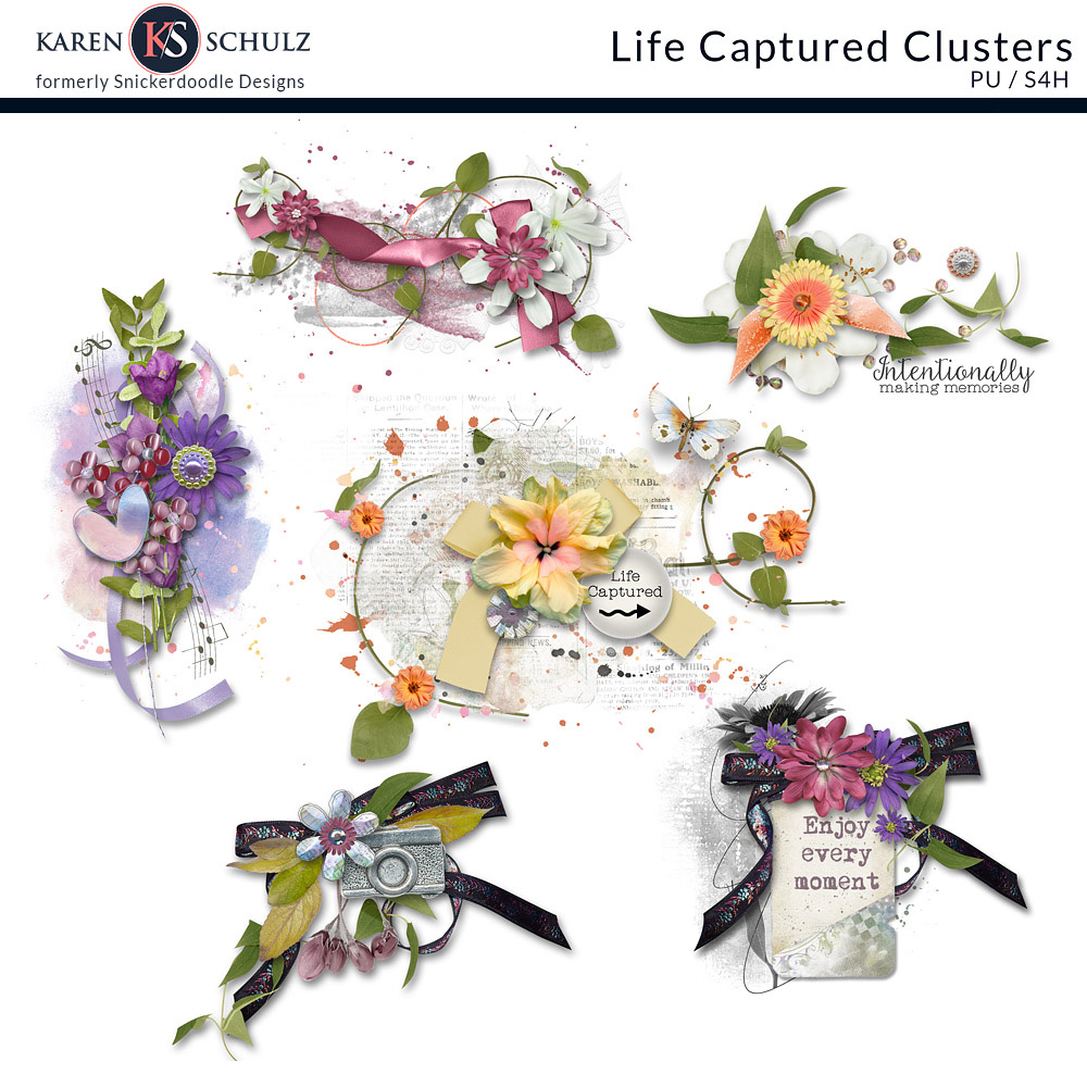 Life Captured Clusters Life Captured Clusters