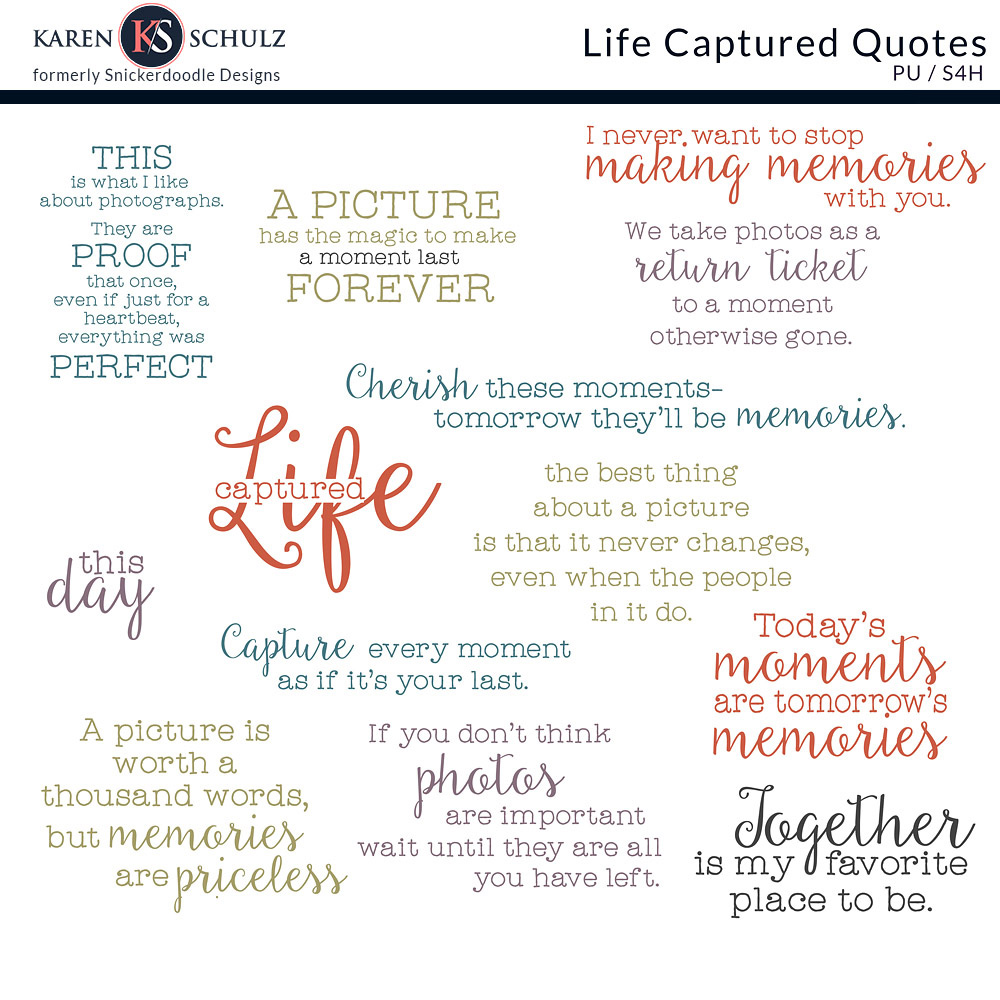 Life Captured Quotes 