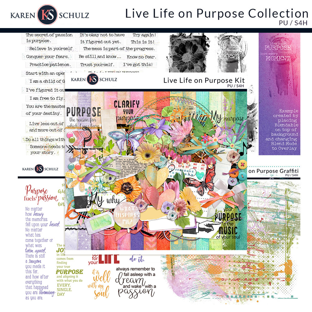 Live Life on Purpose Collection