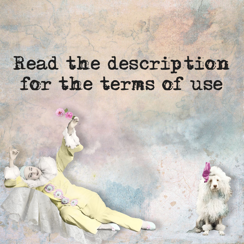 Terms of Use by itKuPiLLi Imaginarium