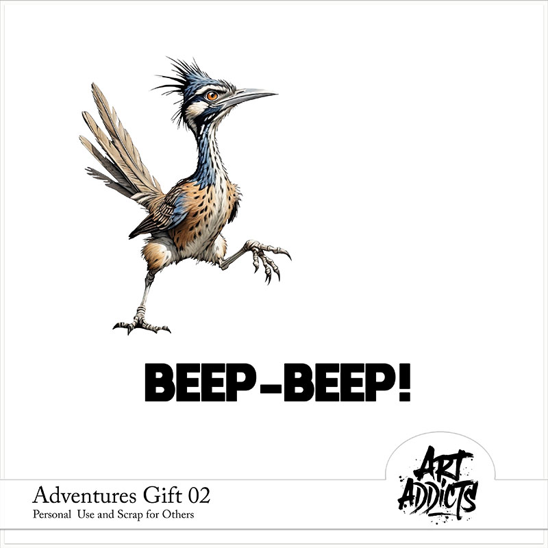 Adventures Gift 02